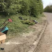 Flytipping and wrongly disposed-of side waste will be pursued by police and council environmental officers around Sleaford. This photo was taken by PCSO Patrick Welby. EMN-200904-180909001