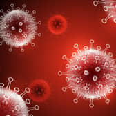 Coronavirus (covid-19)