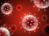 Coronavirus (covid-19)