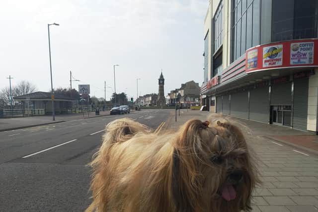Our latest Reader Picture.