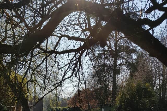 Chrissy Waterson took this photo on a walk in Louth.