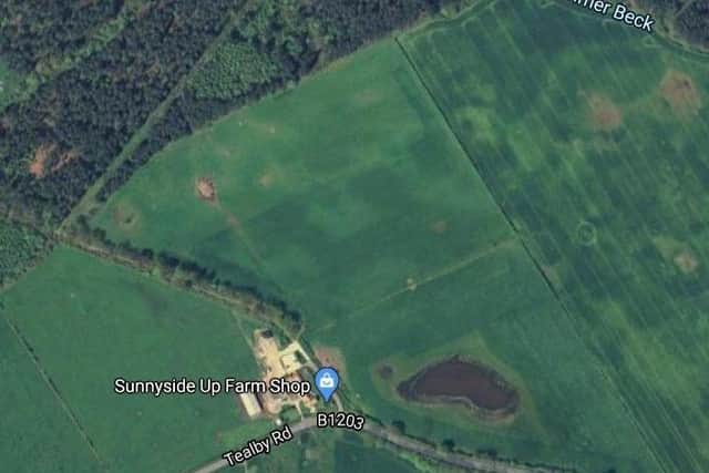 The site of the proposed lodges