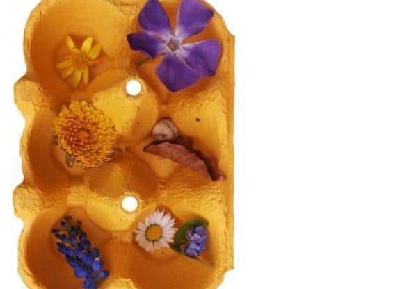 Suggestions for an egg box museum. EMN-200427-163614001
