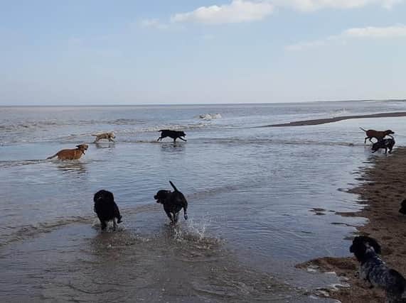 Restrictions have been lifted for dogs on beaches in Lincolnshire.