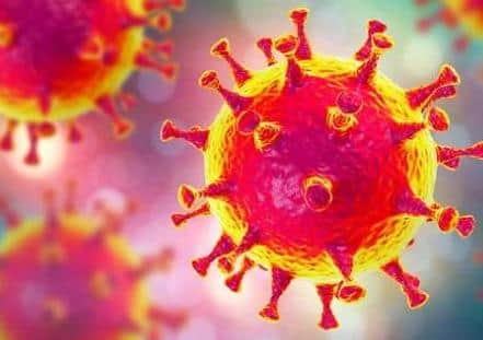 Coronavirus (covid-19)