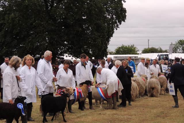 No events will be appearing in the main ring at Heckington Show this year after its cancellation due to the coronavirus pandemic.