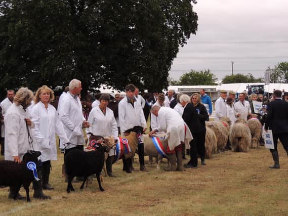 No events will be appearing in the main ring at Heckington Show this year after its cancellation due to the coronavirus pandemic.