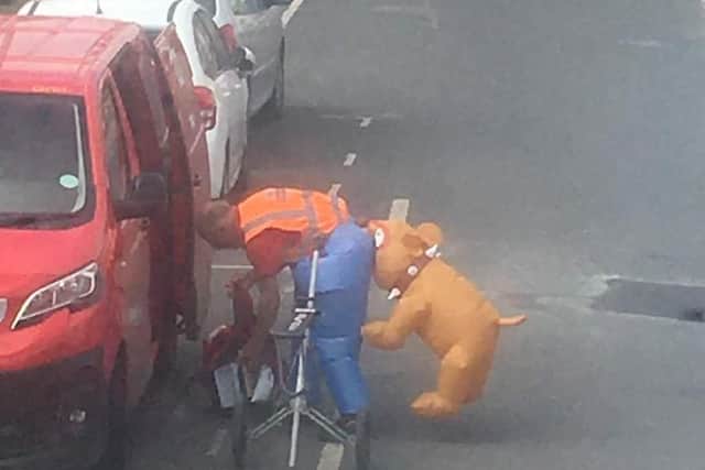 Mablethorpe resident Bethany Walker took this photo of Mike Nelhams on one of his postal rounds.