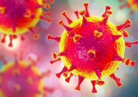 Coronavirus (covid-19)