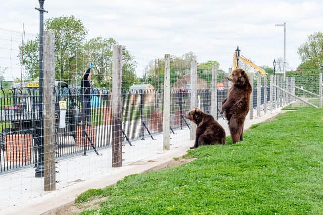 Wolds Wildlife Park.