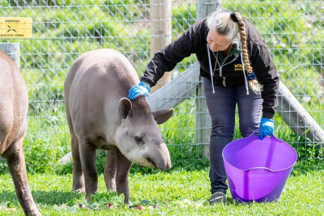 Wolds Wildlife Park.
