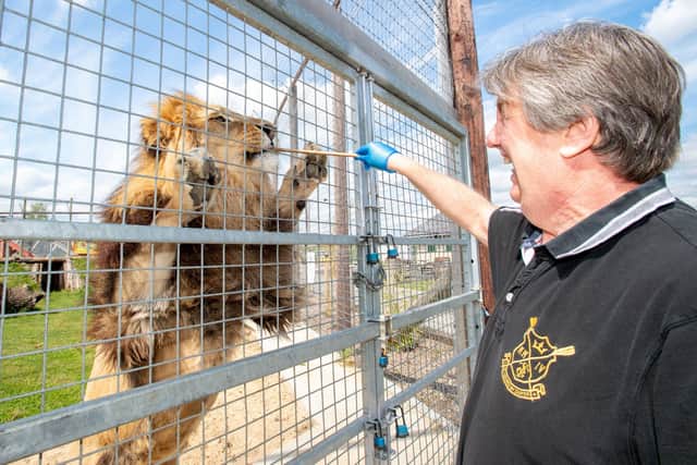Wolds Wildlife Park.