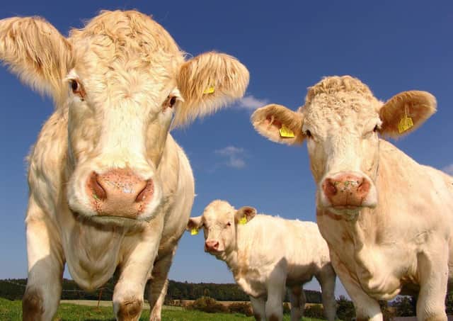 Changes have been made to Louth Livestock Market's weekly schedule.