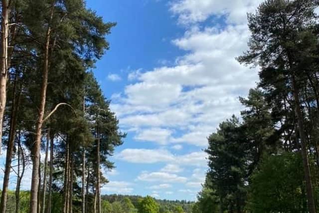 Part of the Rasen course