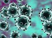 Coronavirus (Covid-19)