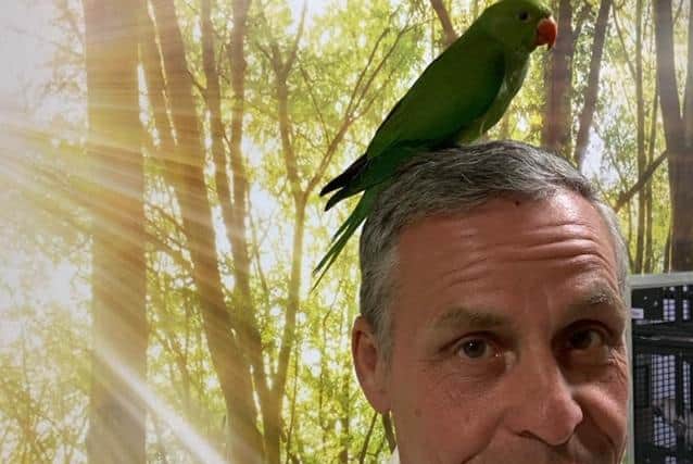 CEO of Lincolnshire Wildlife Park Steve Nichols says that more people than normal are bringing in parrots because they can no longer look after them.