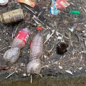 The sad image of a dead duckling amongst rubbish in a Skegness lake. Photo: John Byford.