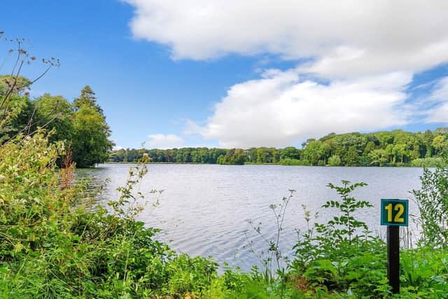 One of Revesby Estates' lakes.