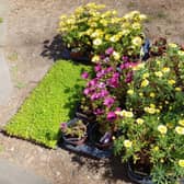 Plants donated to Ashdene care home which the residents help put in the garden. EMN-201006-181118001