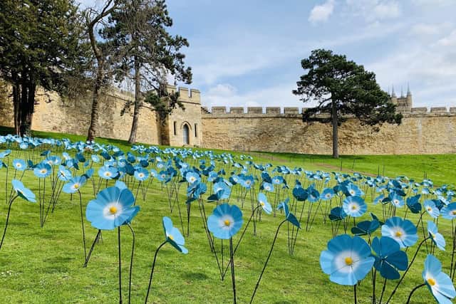 The Forget-Me-Not display at Lincoln Castle, organised by St Barnabas Hospice. EMN-200615-115253001