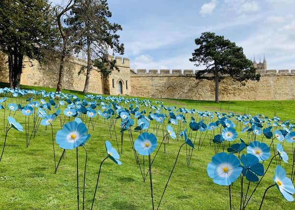 The Forget-Me-Not display at Lincoln Castle, organised by St Barnabas Hospice. EMN-200615-115253001