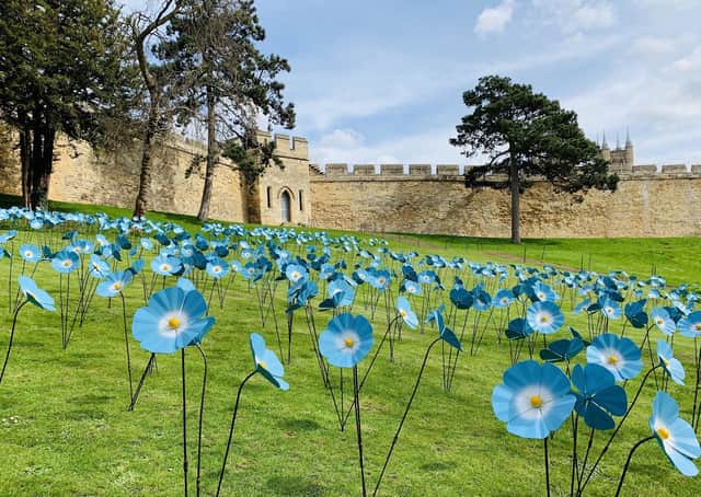 The Forget-Me-Not display at Lincoln Castle, organised by St Barnabas Hospice. EMN-200615-115253001