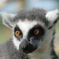 Here’s looking at you - and he soon will be!
