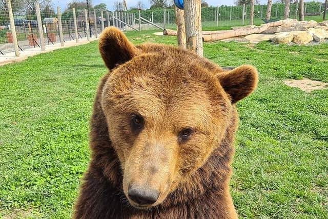 Maxi is ready to welcome visitors