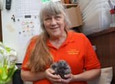 Laurie Fox and Ruby, who arrived at the Caistor centre when she was just three days old EMN-201206-223929001