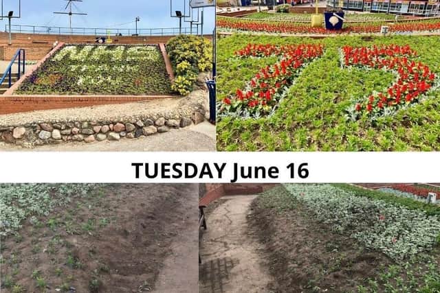 ELDC shared 'before and after' images of the vandalised site.