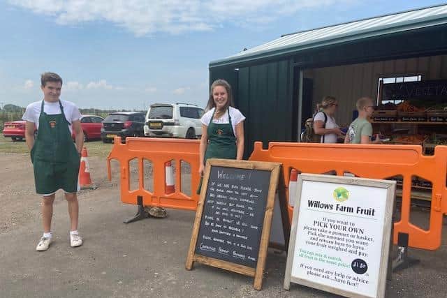 Students James Pridgeon and Lorna Bowser spending the summer down on the farm.