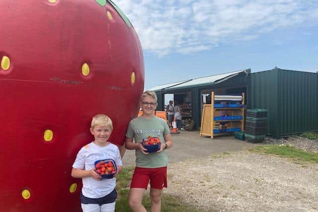 Customers Philip and Patrick of Skegness delighted with the strawberries they gathered at the Willows Farm Pick Your Own in Chapel St Leonards.
