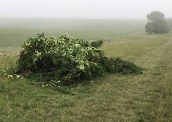 Farmer Andrew Ward has called flytippers on local beauty spots ‘scum’. EMN-200622-190136001