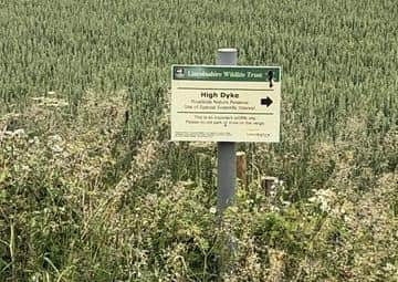 Farmer Andrew Ward has called flytippers on local beauty spots ‘scum’. EMN-200622-190147001