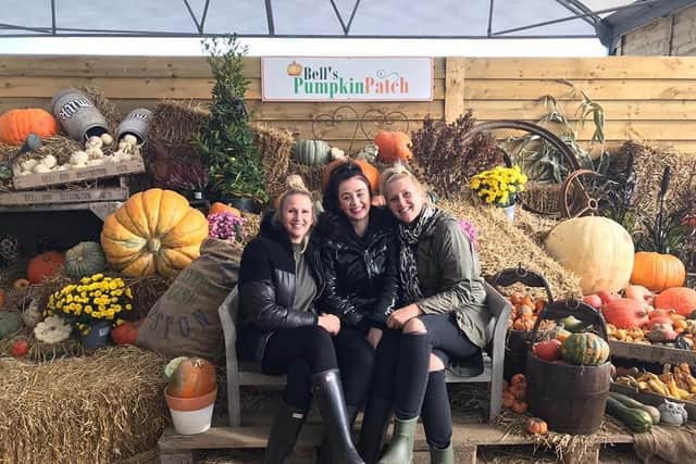 Bell's Pumpkin Patch, of Lowfields Road, Benington, has been voted fifth out the most Instagrammable UK pumpkin patches.
