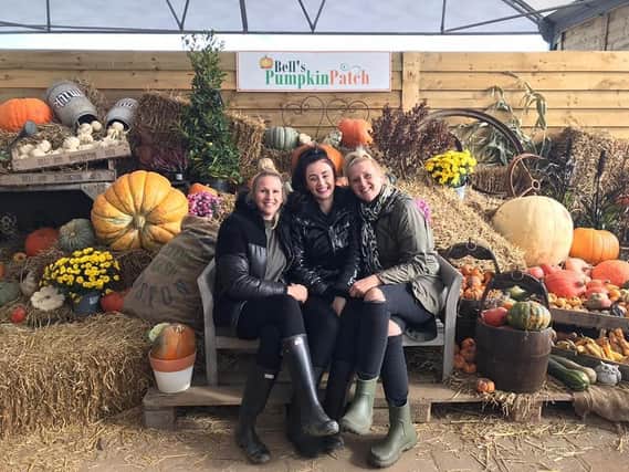 Bell's Pumpkin Patch, of  Lowfields Road, Benington, has been voted fifth out the most Instagrammable UK pumpkin patches.