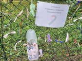 Some of the ribbons attached to the fence at Hubbard's Hills, Louth, to mark Baby Loss Awareness Week.