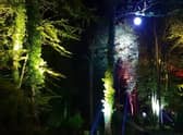 Enchanted Lights at Stourton Estates. EMN-211013-105447001
