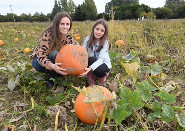Rebecca Cobb and Gracie Crooks pick their own at Bell's Pumpkin Patch. EMN-211018-102813001