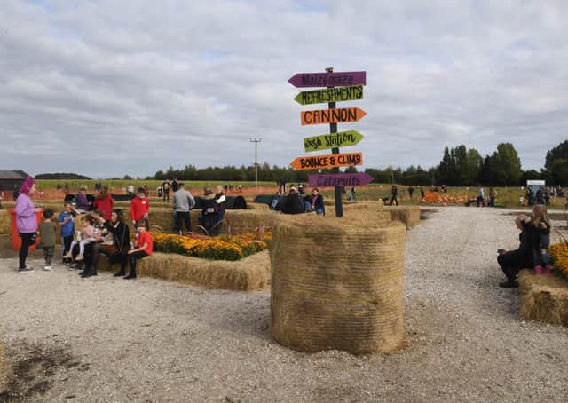There are plenty of autumnal activities on offer this year. Photos by David Dawson.