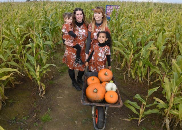 In the maize maze: Jaleena Toyne, 2, Kaysleigh Toyne, Sarah Heffernan, and Taaliora Lucy Grace Toyne, 6. From Boston. EMN-211018-102712001