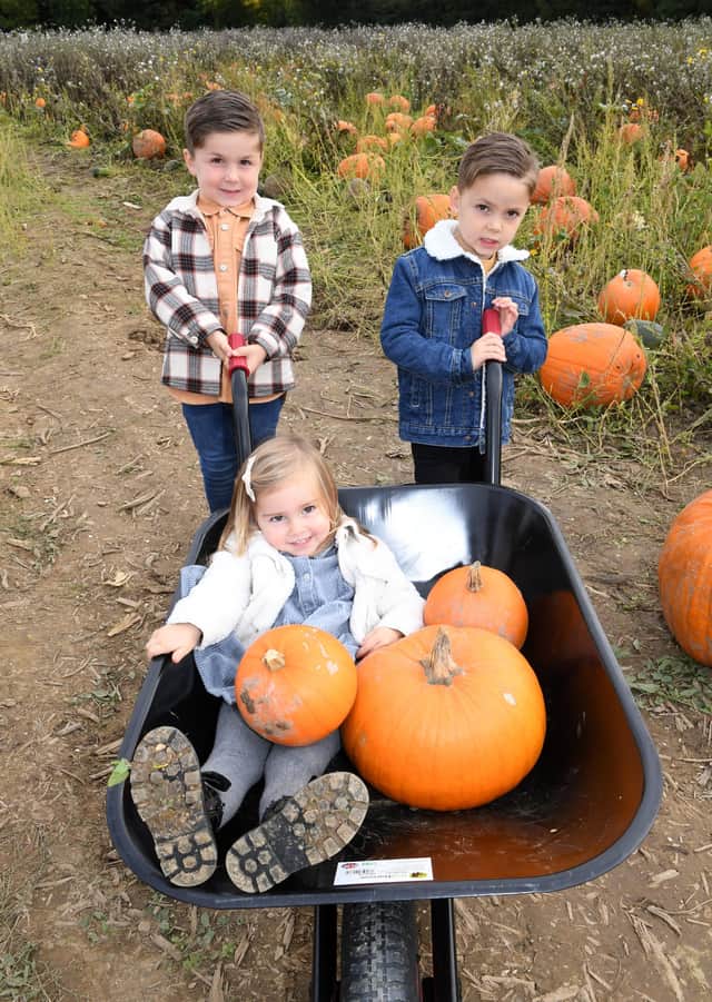 Pictured from left: Henry Bothamley, 6, Elsie Bothamley, 2, and Arthur Bothamley, 4, of Heckington. EMN-211018-103856001