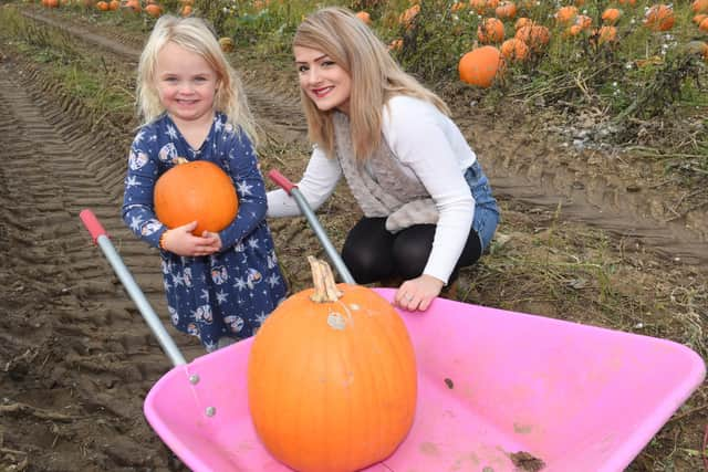 Picking a pumpkin for Halloween: Leah Bridger, of Boston, with Lilly Woods, 4. EMN-211018-103909001