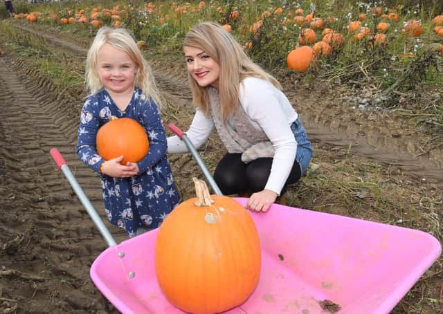 Picking a pumpkin for Halloween: Leah Bridger, of Boston, with Lilly Woods, 4. EMN-211018-103909001