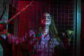 Are you brave enough for Fear Island in Ingoldmells?