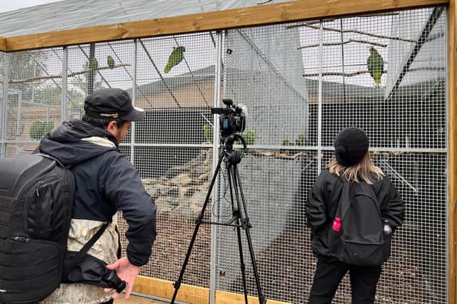 Chico has been filmed for a Japanese TV show on CBC.