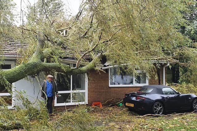 Three trees smashed into the house, leaving holes in the roof.