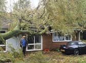 Three trees smashed into the house, leaving holes in the roof.