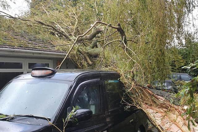 One of the trees crushed a new taxi that had been bought to collect assistants and deliver food to the vulnerable.