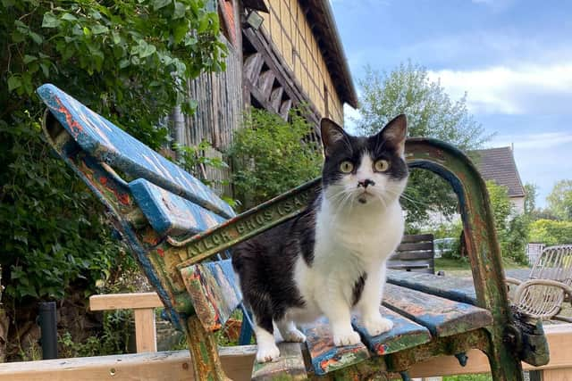 A bench which came from Skegness Pier is being renovated to be part of the Skegness garden in an horticultural show in the twin town of Bad Gandersheim.